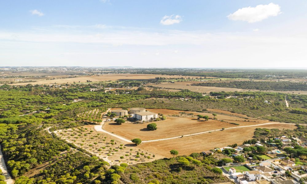 aerial-view-rural-landscape-crops-field